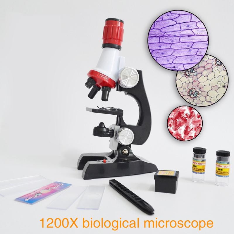 microscopio 1200x